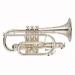 cornet